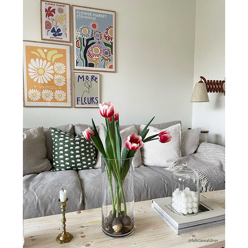 HAVANA / Limited edition & Signed